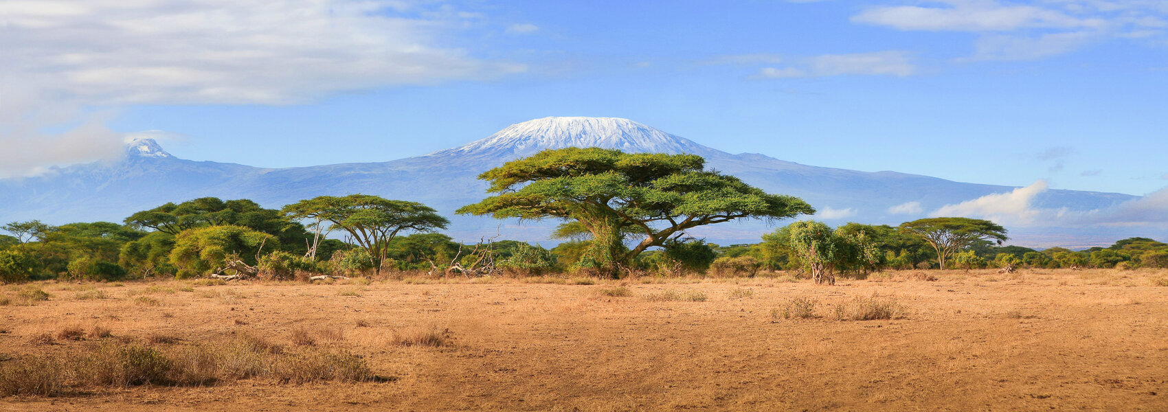 Où aller en Afrique