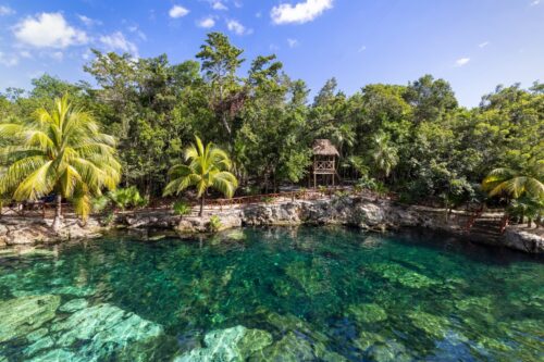 Cenote near Tulum