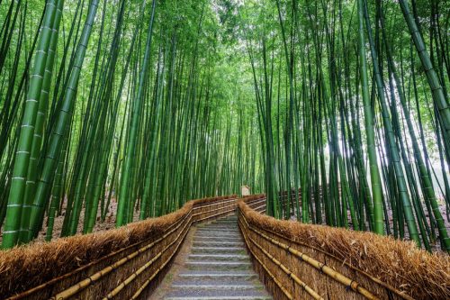 Arashiyama, Kyoto