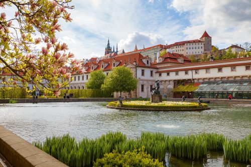 In Prague's Mala Strana