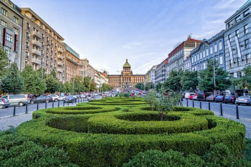 Novo Mesto in Prague