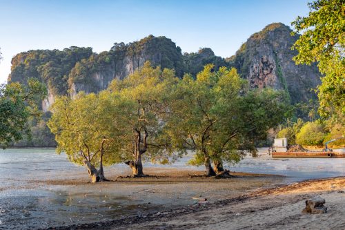 Railay East Beach