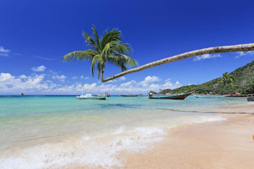 Koh Tao Sairee Beach