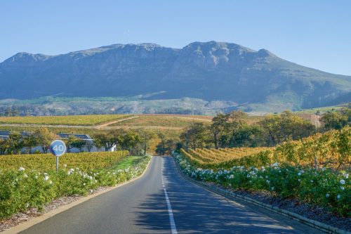 Constantia in South Africa