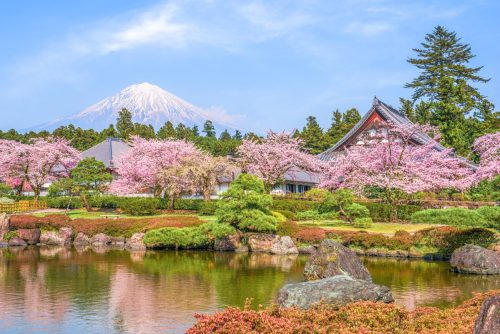 Fujinomiya, Mount Fuji