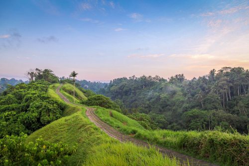 Sayan Campuhan in Ubud