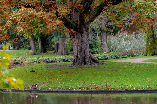 Vondelpark, Amsterdam