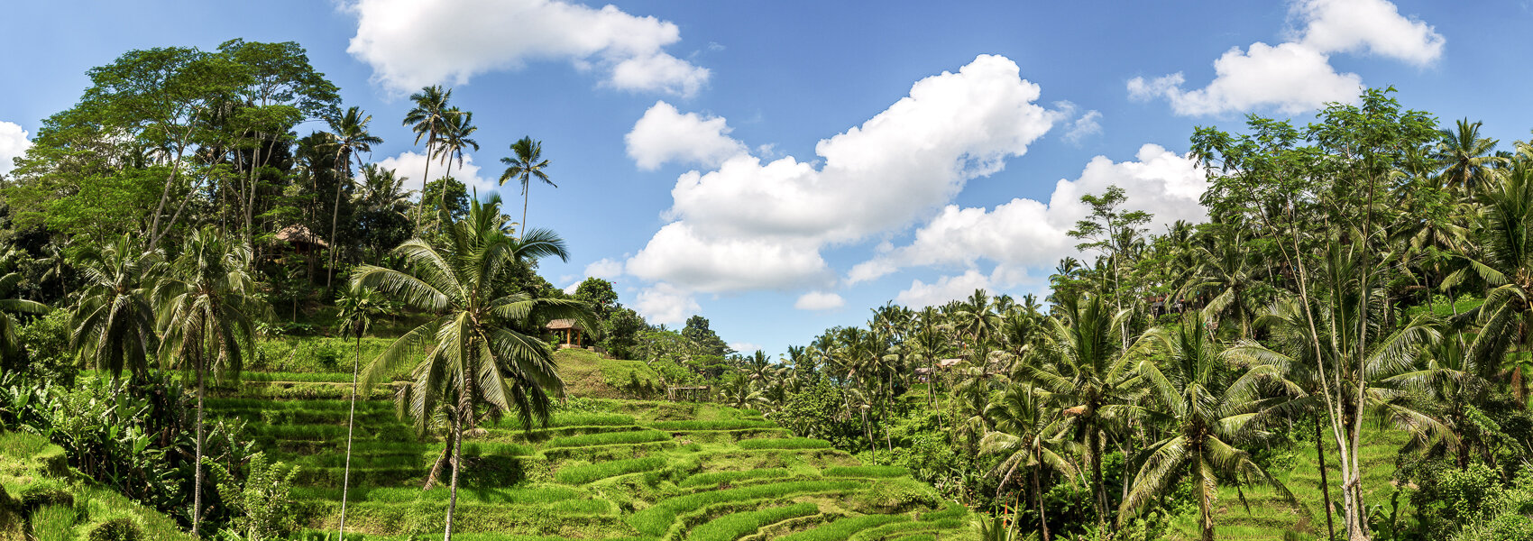 Where to stay in Ubud