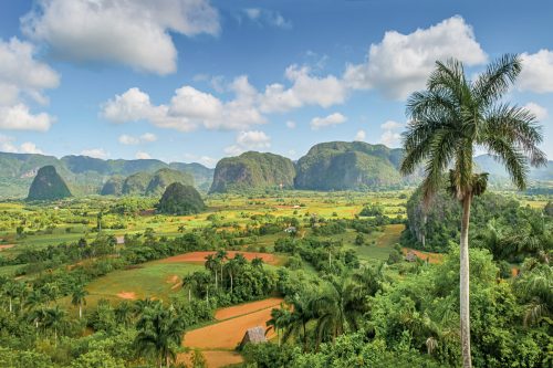 A landscape in Cuba