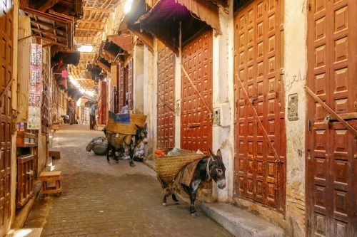 Medina El Bali in Fes