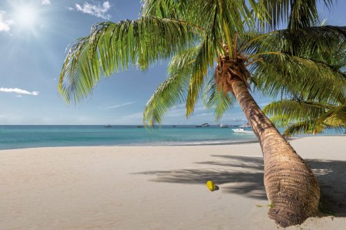 Tropical island in Seychelles